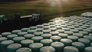 Raldus Wrap - Stretch Film for agriculuture. Bale wrapping film. Made in Poland.