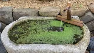 Running Water 4 - A Scott Shaw Zen Film - Zen Filmmaking