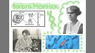STEM in Action - Women of STEM
