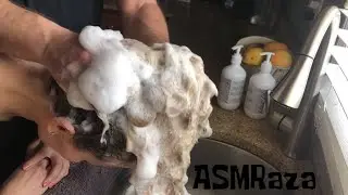 ASMR| Hair Wash Day & Shampooing & Conditioning!