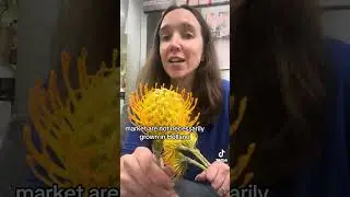 Fast talking Flower Friday! Do you love these odd looking flowers?