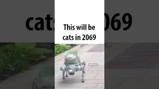futuristic cats
