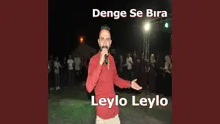 Leylo Leylo