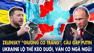 Zelensky “giương cờ trắng”, cầu gặp Putin: Ukraine lộ thế kèo dưới, ván cờ ngã ngũ!