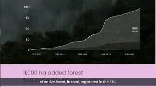 CarbonCrop Q&A | What is the Native forest opportunity in New Zealand
