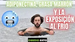 ¿QUÉ ES LA GRASA PARDA O EL TEJIDO MARRÓN? Descubre los 5 tipos de grasa que tienes en tu cuerpo