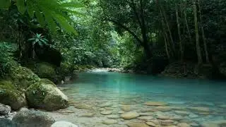 Peaceful Forest River 🌿 Flowing Water ASMR for Deep Sleep & Relaxation