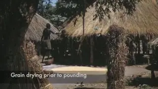 Anuak village life 1958