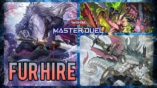 Fur Hire / Ranked Duel [Season 43] / Road to Master / [Yu-Gi-Oh! Master Duel]