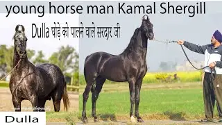 Dulla घोड़े को पालने वाले सरदार जी Kamal Shergil
