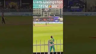 Cheering by Crowd  #youtubeshorts #shorts #cricket