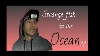 Strange fish in the ocean? How to tie fishing #shorts ##fishing