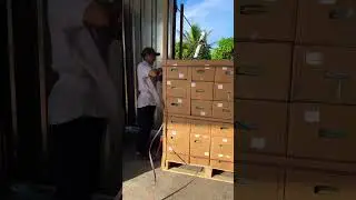packing goods on pallets to export.