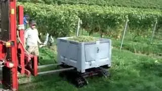 Lesekisten aufnehmen // windegger NEO alpin
