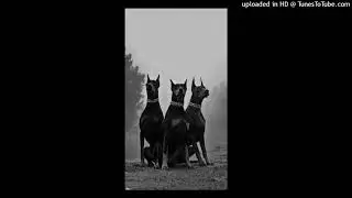 [FREE] UK Drill Type Beat - 