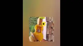 RUČNO IZRAĐENE TAMBURE MAJSTORA AĆA PETRA