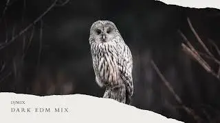 1 HOUR DARK EDM MIX ( PART I ) - DJMIX ( DJMIX PLAYLIST UHD 4K )