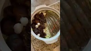Happy Chinese Cooking39 #Shorts