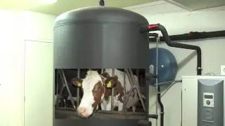 Het ECO200 systeem bij melkveehouder Jaapies in Hensbroek