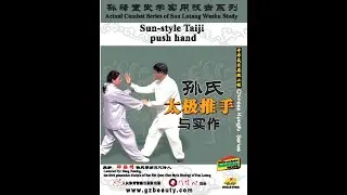 Sun style Taiji Push hand