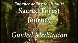 Sacred Forest Journey Guided Meditation - (Peaceful, Improve Ability to Visualize, Relax)