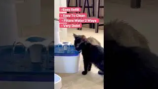 Quietest Pet Water Fountain I've Tried - And It Filters Water 2 Ways To Keep It Clean And Safe!
