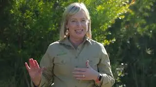 Our Farm Tour with Dee Ann - Lemon Scented Tea Tree