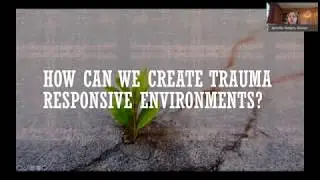 Heading Back to School: Trauma Informed MTSS