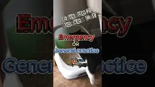 ER or GP Ep.2 - Blocked Cat Emergency!