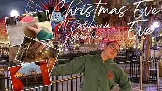 Christmas Eve Eve @ DCA!! 🎄