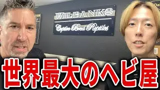 【世界最大のファーム】アメリカ編｜ボールパイソン「Wilbanks Reptiles」