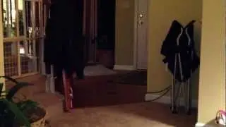 Incredible orb activity - one of our best video captures