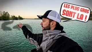 Des poissons énormes nagent dans cette rivière ! J'essaie toutes les techniques pour les pêcher !