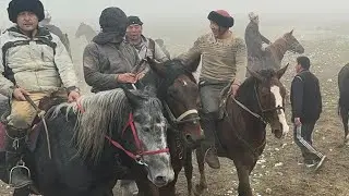 Алга айылы аламан улак 21.11.24