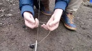 2 Bird Trap (2 Kuş Tuzağı) #1