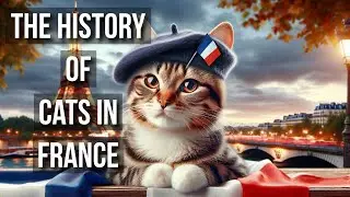 The History Of Cats in France