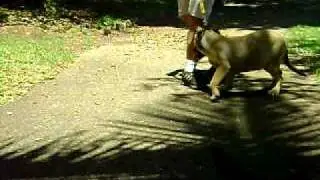 MOV01964
