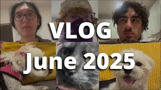 Moisos-Vlog: Entry #7 | June 2025 &ndash; Pride, Paws & People I Love