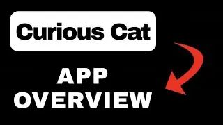 Curious Cat Survey Rewards App Overview - What to Expect