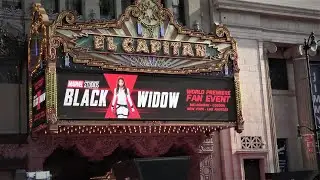 BLACK WIDOW WORLD PREMIERE | FAN EVENT | EL CAPITAN THEATER | HOLLYWOOD