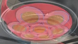 The Real Flippin Fantastic Pancake Flipper