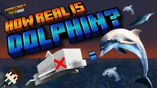 How Real Is Minecraft Dolphin?