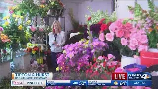 Tipton & Hurst Valentine's Day