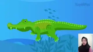 Penggolongan dan perbedaan hewan vertebrata dan invertebrata 