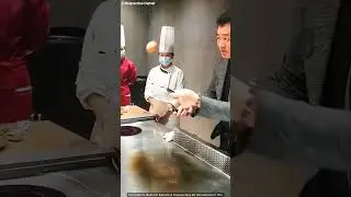 The Heart-Shaped Egg Lesson