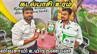 100% இயற்கை உரம் | No chemicals | தோட்டத்துக்கு அதிக விளைச்சல் தர | Yummy vlogs