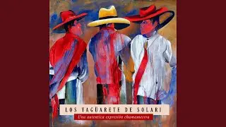 Sombrero ala-&iacute;