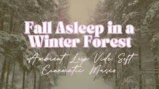 Fall Asleep in a Winter Forest | Winter Forest Ambience | Nature Relaxation Soft Cinematic Music