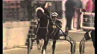 WESTERN FAIR RACEWAY--LONDON,ONTARIO--1988--ZOOM,S D RACES