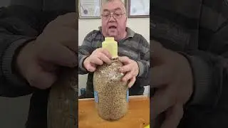 2864 Без моли и жучков! Без доступа кислорода! Храним крупу и муку правильно!